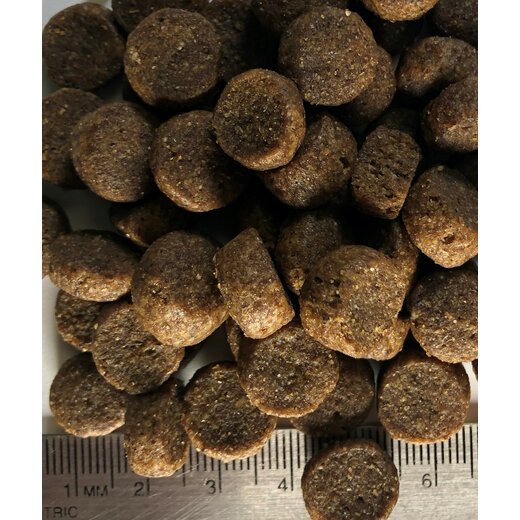 Regal Large Breed Recipe