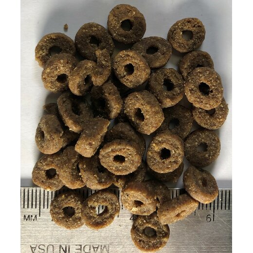 Regal Kitten Recipe 5,4 kg