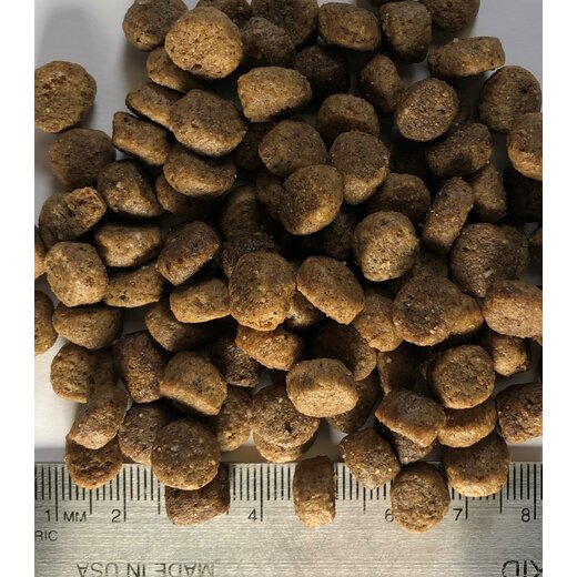 Regal Puppy Recipe 1,8 kg