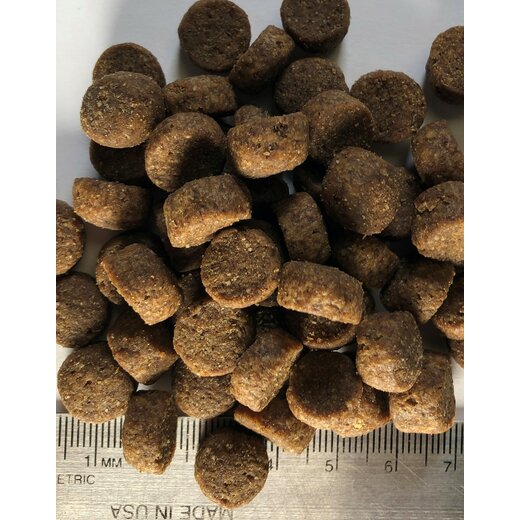Regal Large Breed Puppy Recipe 18,2 kg