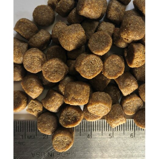 Regal Grain Free Red Meat Recipe
